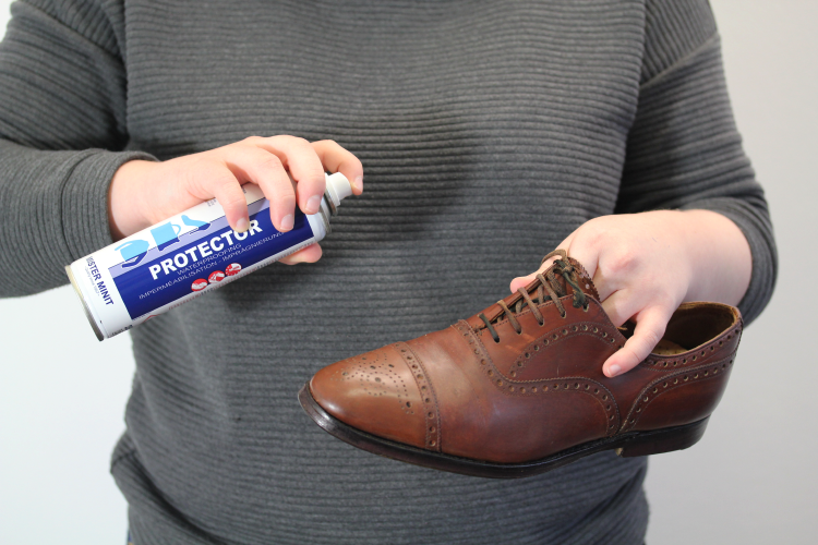 How To Clean And Polish Your Leather Shoes MISTER MISTER MINIT